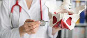 Pelvic Floor Physical Therapy Near Me in Montvale and Closter NJ Pelvic Floor Physical Therapy Near Me in Montvale and Closter NJ