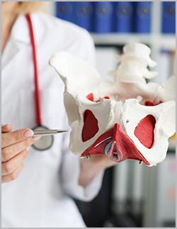 Pelvic Floor Physical Therapy in The Spine & Health Center of New Jersey